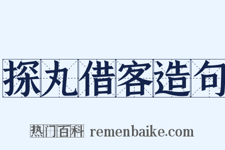探丸借客造句是什么意思的图片